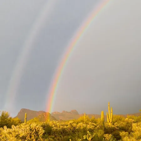 Tucson Natural 5Br By Casago-2